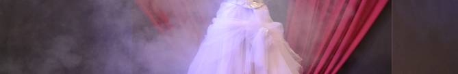 Robe mariée Salon Mariage